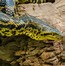 Image result for Biggest Snake in China