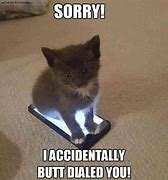 Image result for Animals Look at Phone Meme