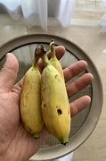 Image result for Small Banana