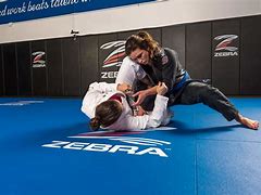 Image result for Jiu Jitsu Grappling