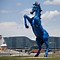 Image result for Blue Mustang Denver Airport