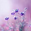 Image result for Floral iPhone XR Wallpaper