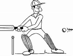 Image result for Cricket