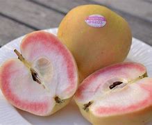 Image result for Pink Pearl Apple's