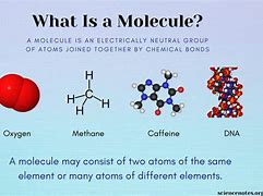 Image result for What Is a Molecule