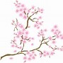 Image result for Matching Cherry Blossom Clip Art