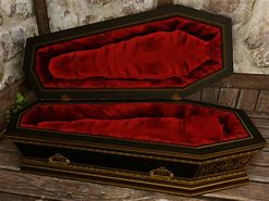 Image result for vampire coffin