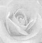 Image result for Rose Keyboard Symbol