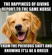 Image result for Animal Nurse Memes