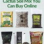 Image result for Cactus Mix