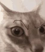 Image result for Sus Cat Eyebrow Meme