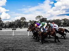 Image result for Form Horse Racing