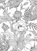 Image result for Black and White Floral Wallpaper