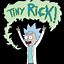 Image result for Rick and Morty iPhone 13 Pro Max Case