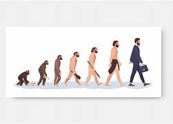 Image result for Human Evolution Graphic