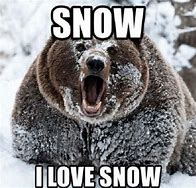 Image result for Snowy Meme