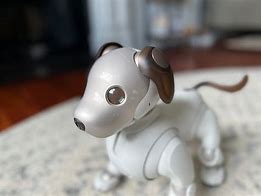 Image result for Aibo Tail