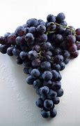 Image result for Port Wine Grapes