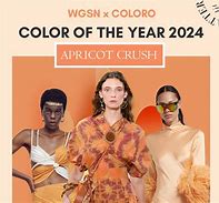 Image result for New iPhone 2020 Colors