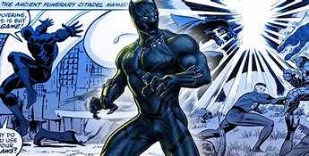 Image result for Black Panther Attack