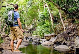 Image result for Ecotourism