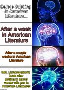 Image result for American Literature Memes