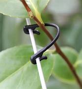 Image result for Plastic Plant Support Clips