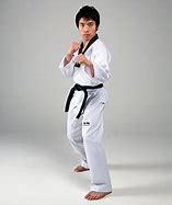 Image result for Taekwondo Fighting Stance