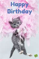 Image result for Happy Birthday Donna Cute Cats