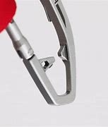 Image result for Carabine Hook