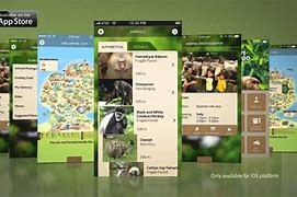 Image result for iPhone Zoo