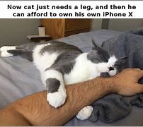 Image result for iPhone but Arms and Legs