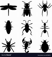 Image result for Bug Silhouette Images