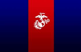 Image result for iPhone 11" Case USMC