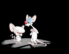 Image result for Evil Meme Pinky and the Brain