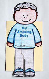 Image result for My Body Preschool Craft