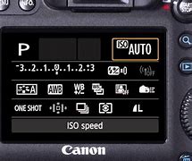 Image result for Portrait Mode On Canon Camera