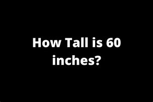 Image result for How Long Is 60 Inches