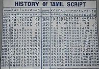 Image result for Tamil Languange