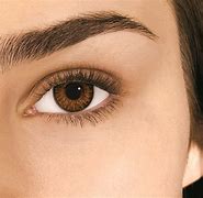 Image result for Brown Contact Lenses