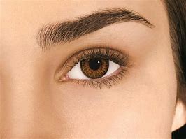 Image result for Brown Eye Contacts