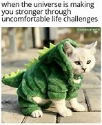 Image result for Money Funny Cat Memes