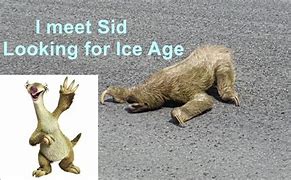 Image result for Sid the Sloth in Real Life