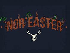 Image result for Nor'easter Logo