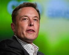 Image result for Musk Tesla Pictures for Appendix in Research