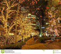 Image result for Japan Night. View