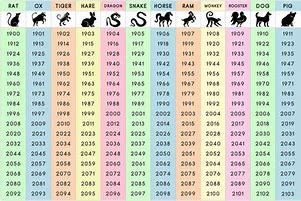 Image result for Cancer Zodiac Sign in Chinese