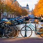 Image result for Amsterdam Activities