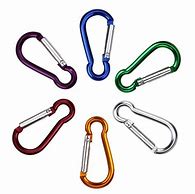 Image result for Gold Key Hook Carabiner