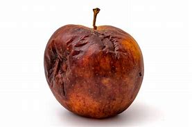 Image result for Apple Rotted